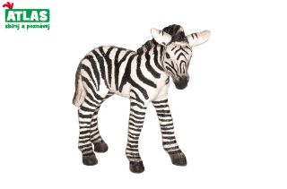 Obrázek z Zebra mládě figurka 7cm 
